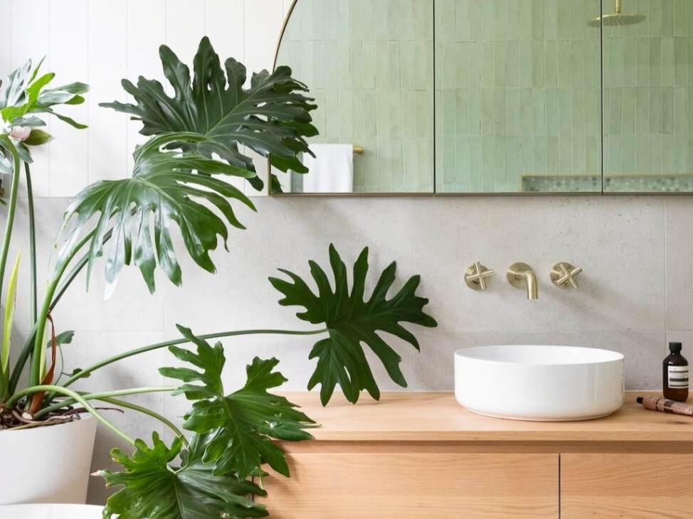 A bathroom with wooden storage, brushed gold tapware, and a Monstera plant