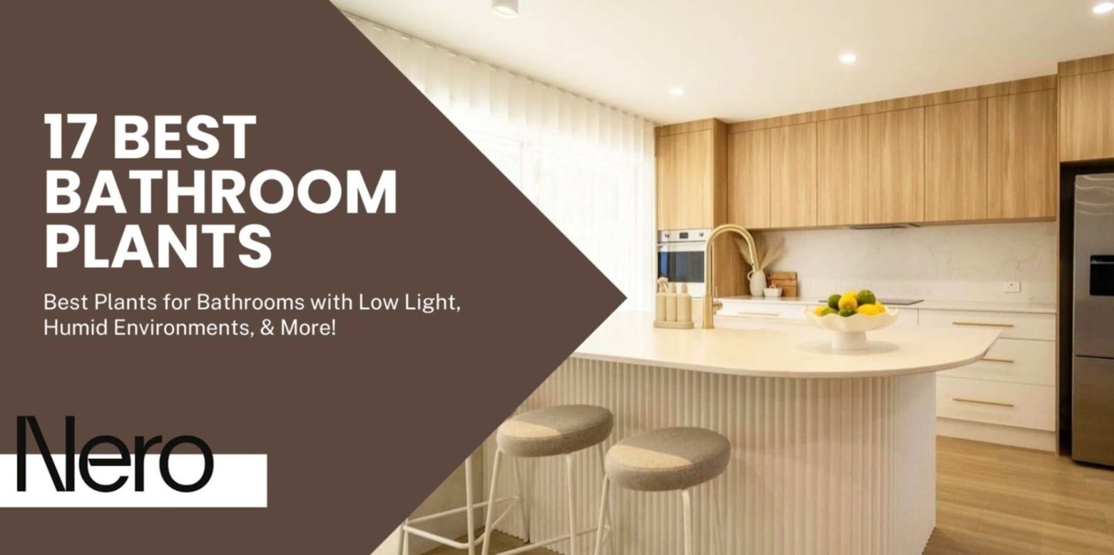 best bathroom plants for humid environments, no light or low light, windowless, small, and large bathrooms