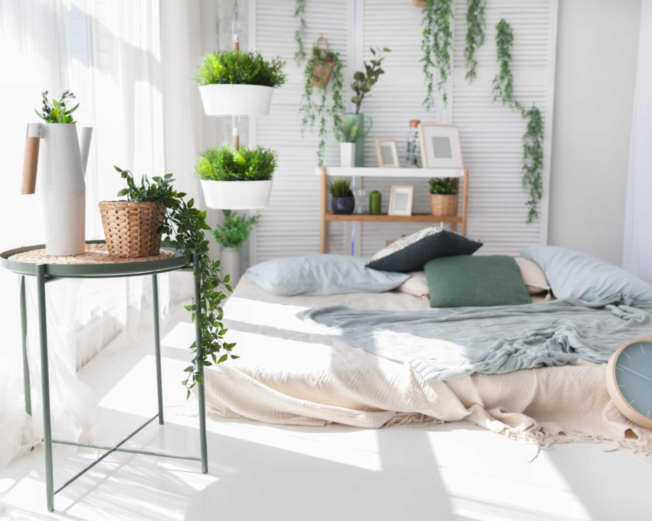 Biophilic design ultimate guide