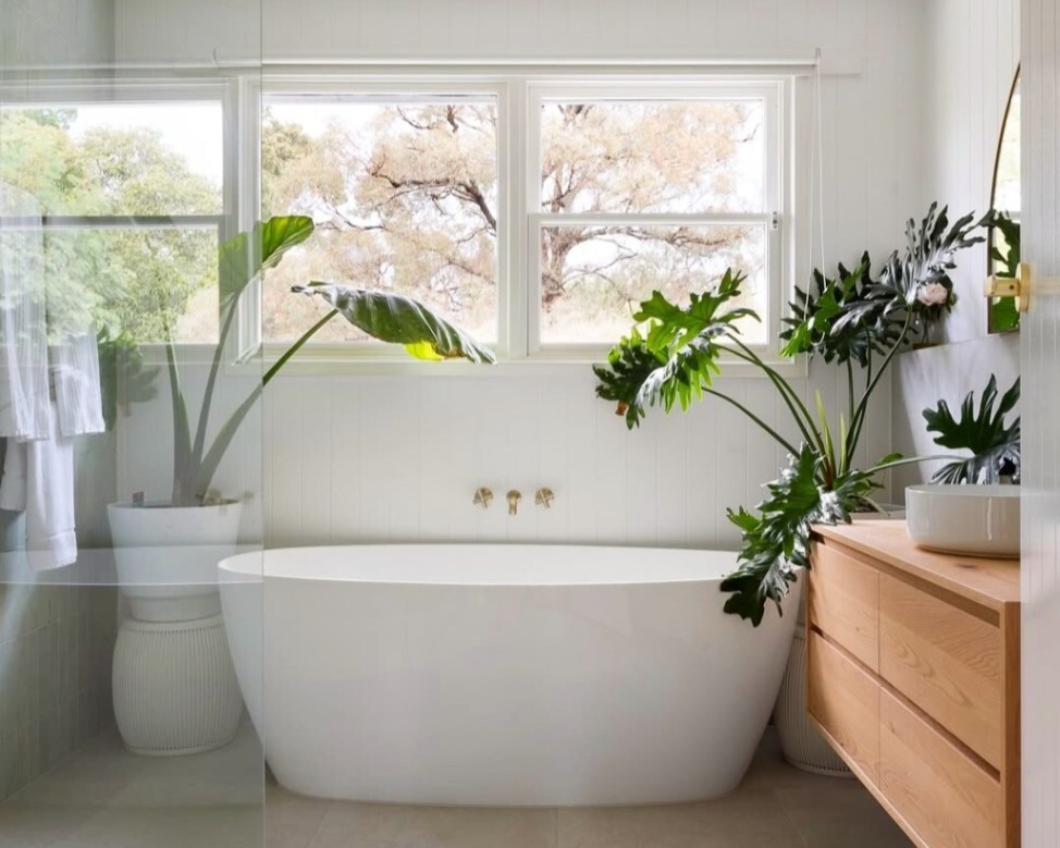 Japandi bathroom with wooden cabinets and monstera plant