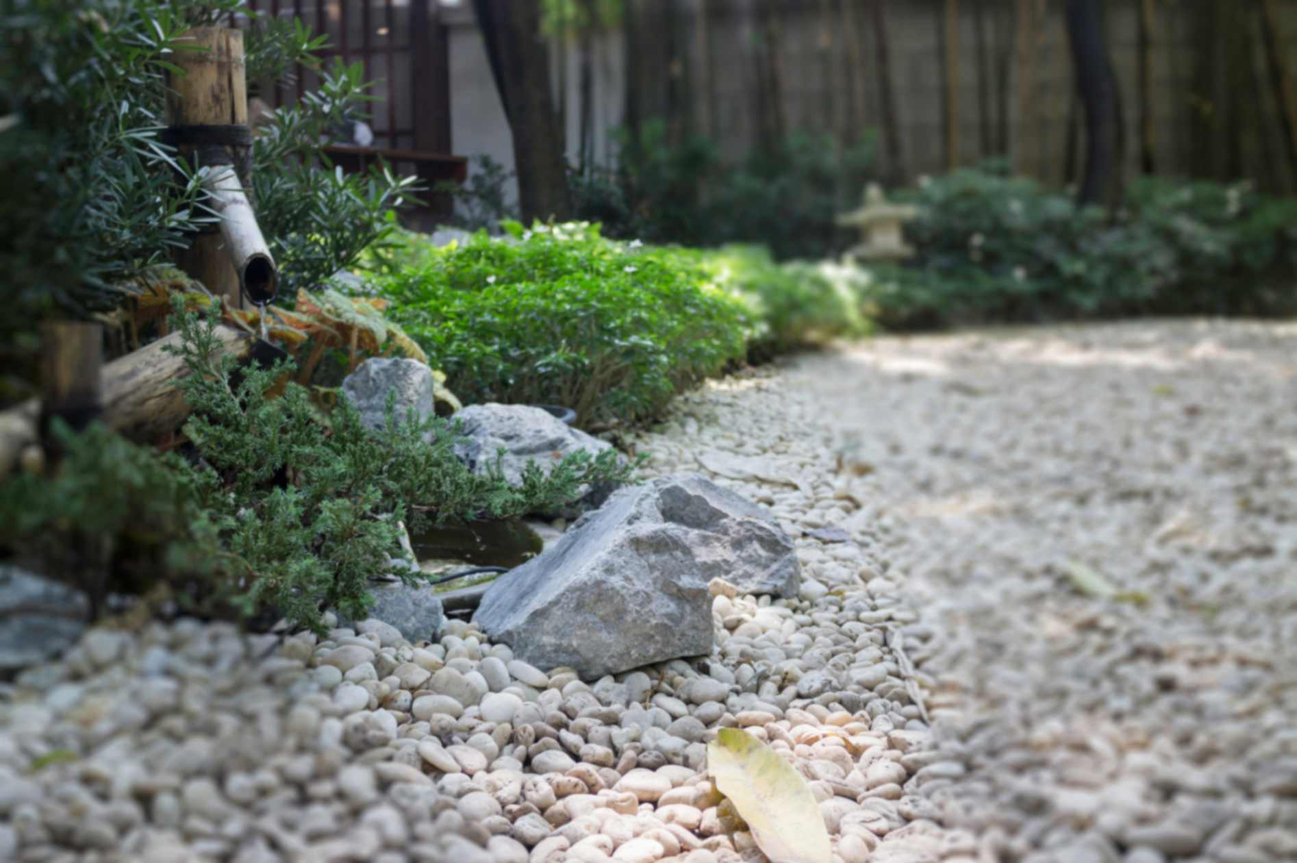 Modern Japanese Zen Garden Design Ideas