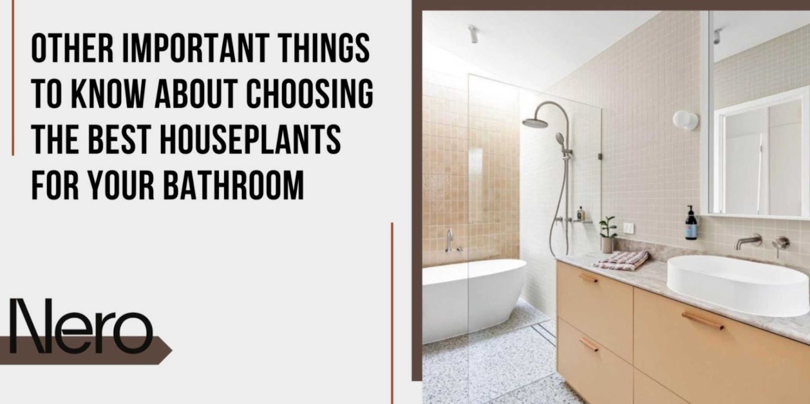other important things to know about choosing the best houseplants for your bathroom
