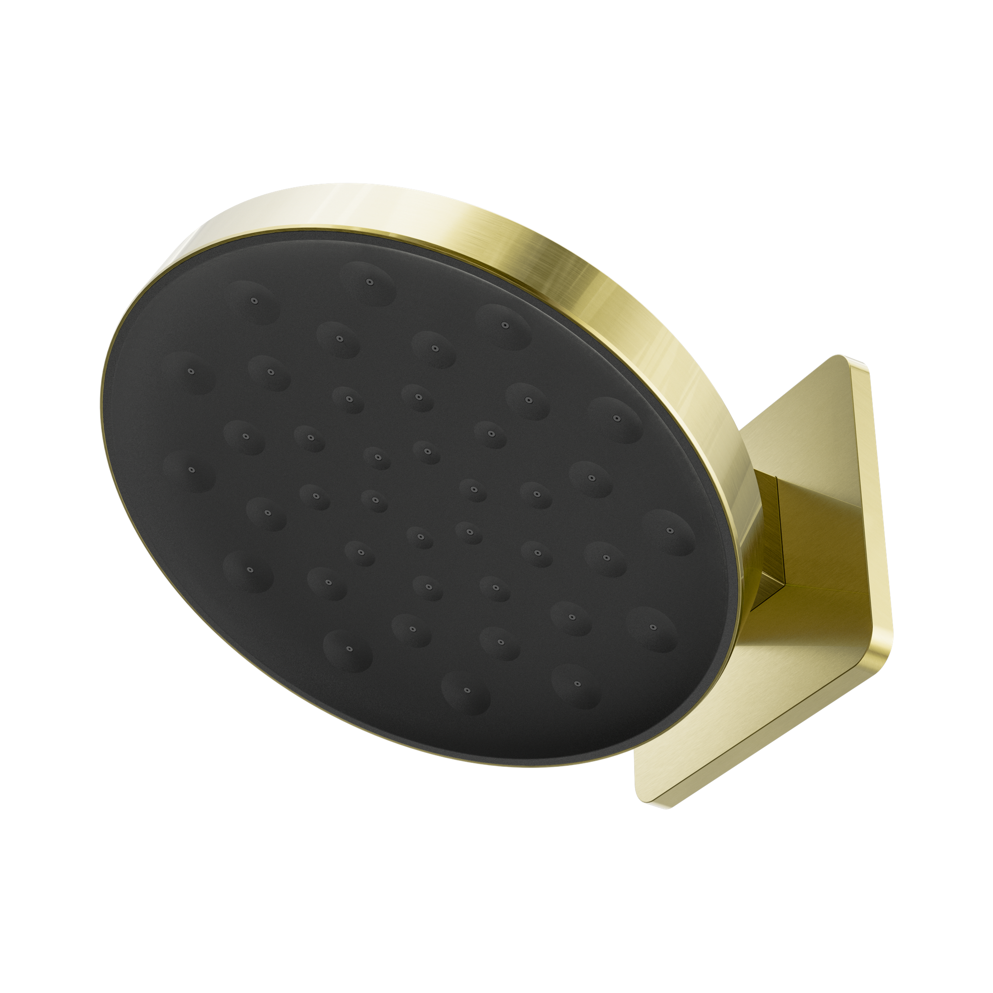 24 D002 BG Serenity Wall Shower Head Brushed Gold image 1