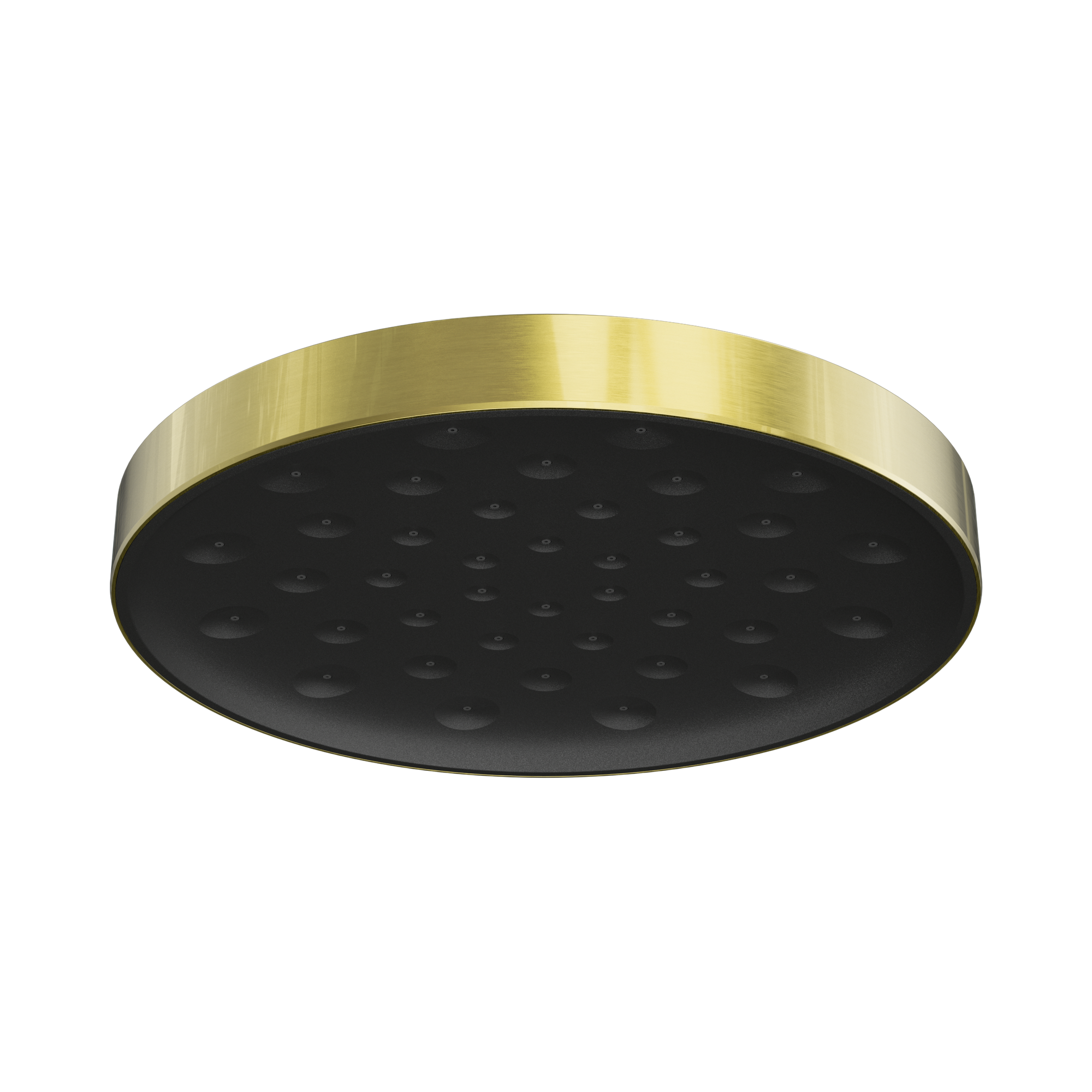 24 D002 BG Serenity Wall Shower Head Brushed Gold image 2
