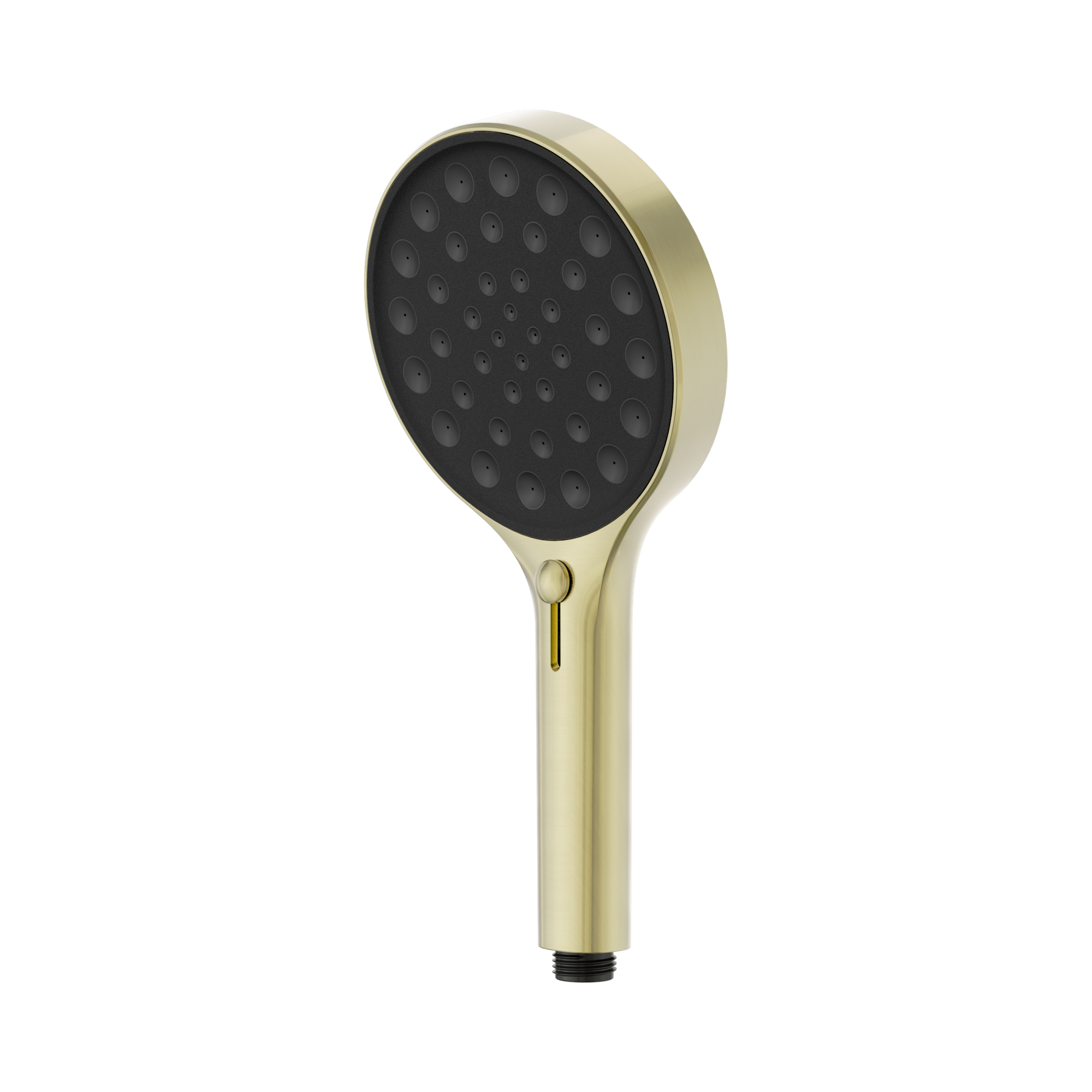 24 D003 BG Serenity Hand Shower Brushed Gold image 1