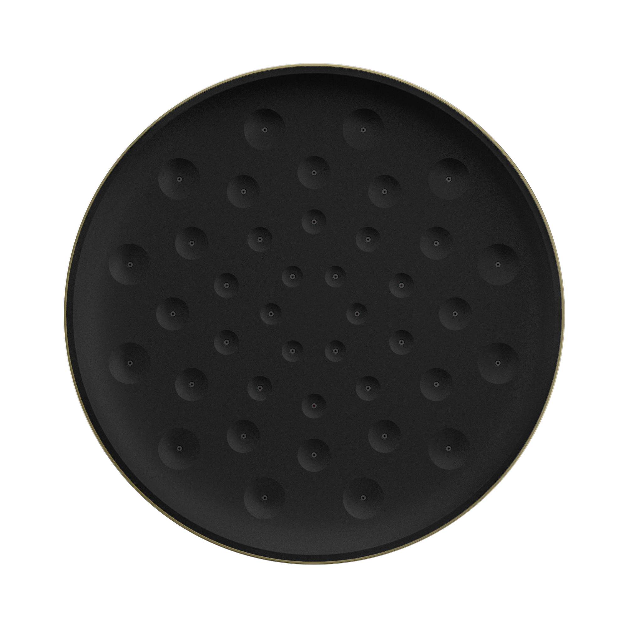 24 D004 BG Serenity Shower Head Brushed Gold image 2