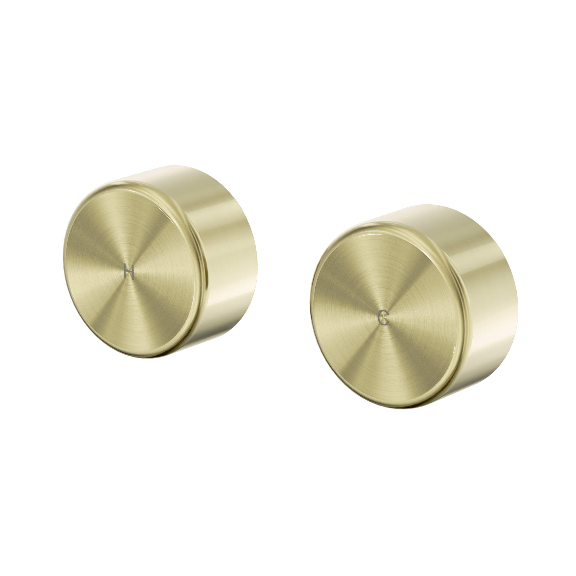 24 D010 BG Serenity Wall Top Assembly With Metal Handle Brushed Gold image 1