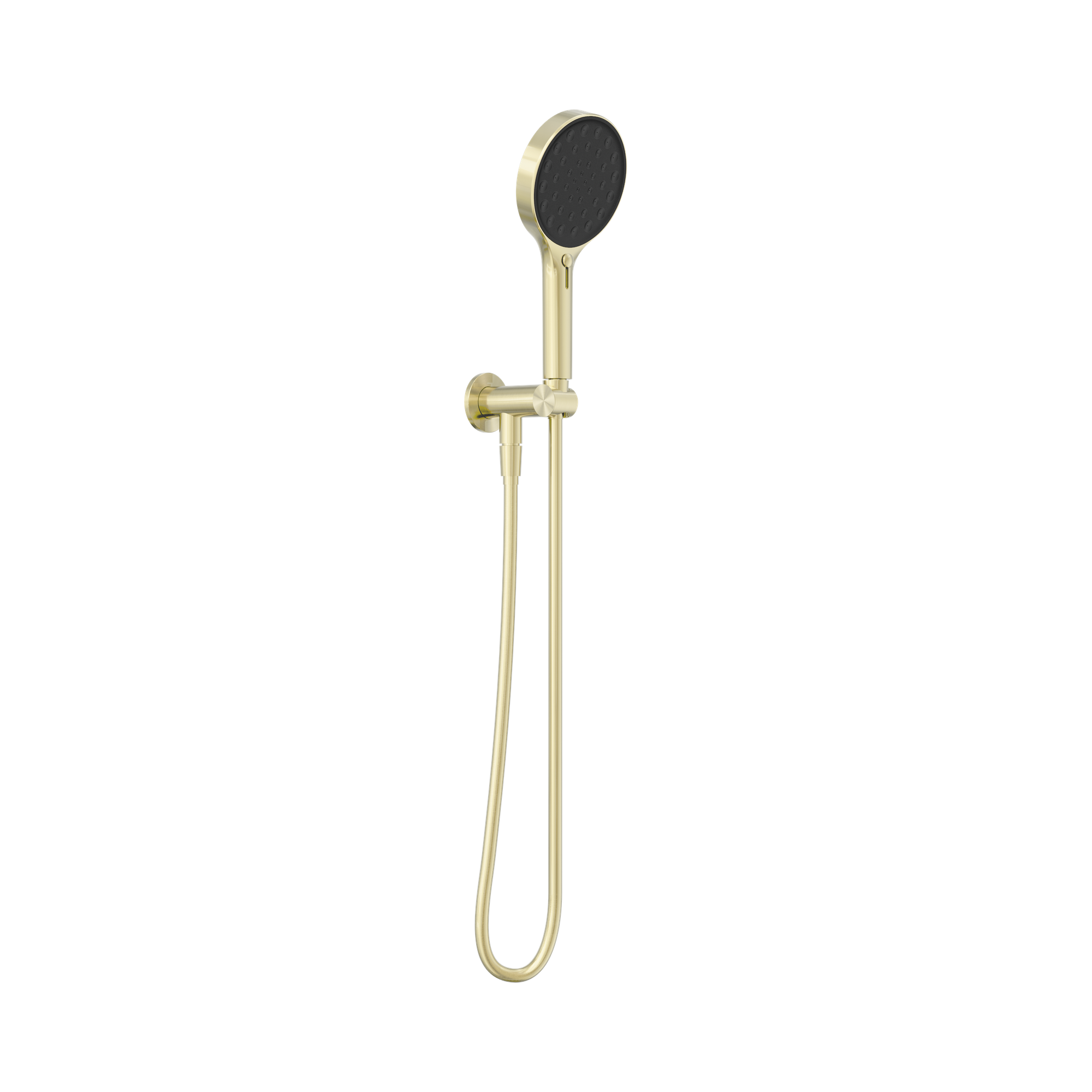 24 D071 BG Serenity Hand Held Shower Brushed Gold image 1