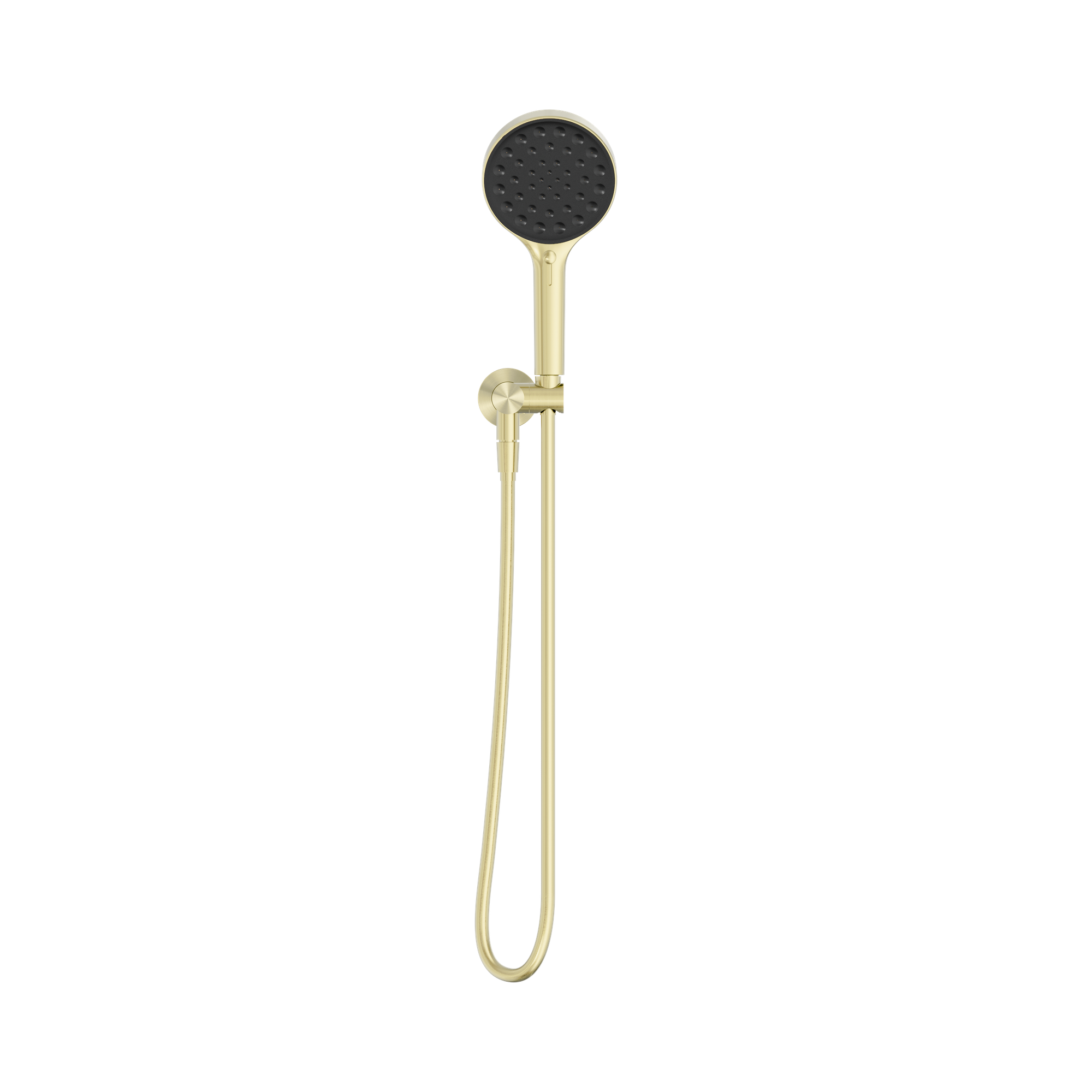 24 D071 BG Serenity Hand Held Shower Brushed Gold image 2