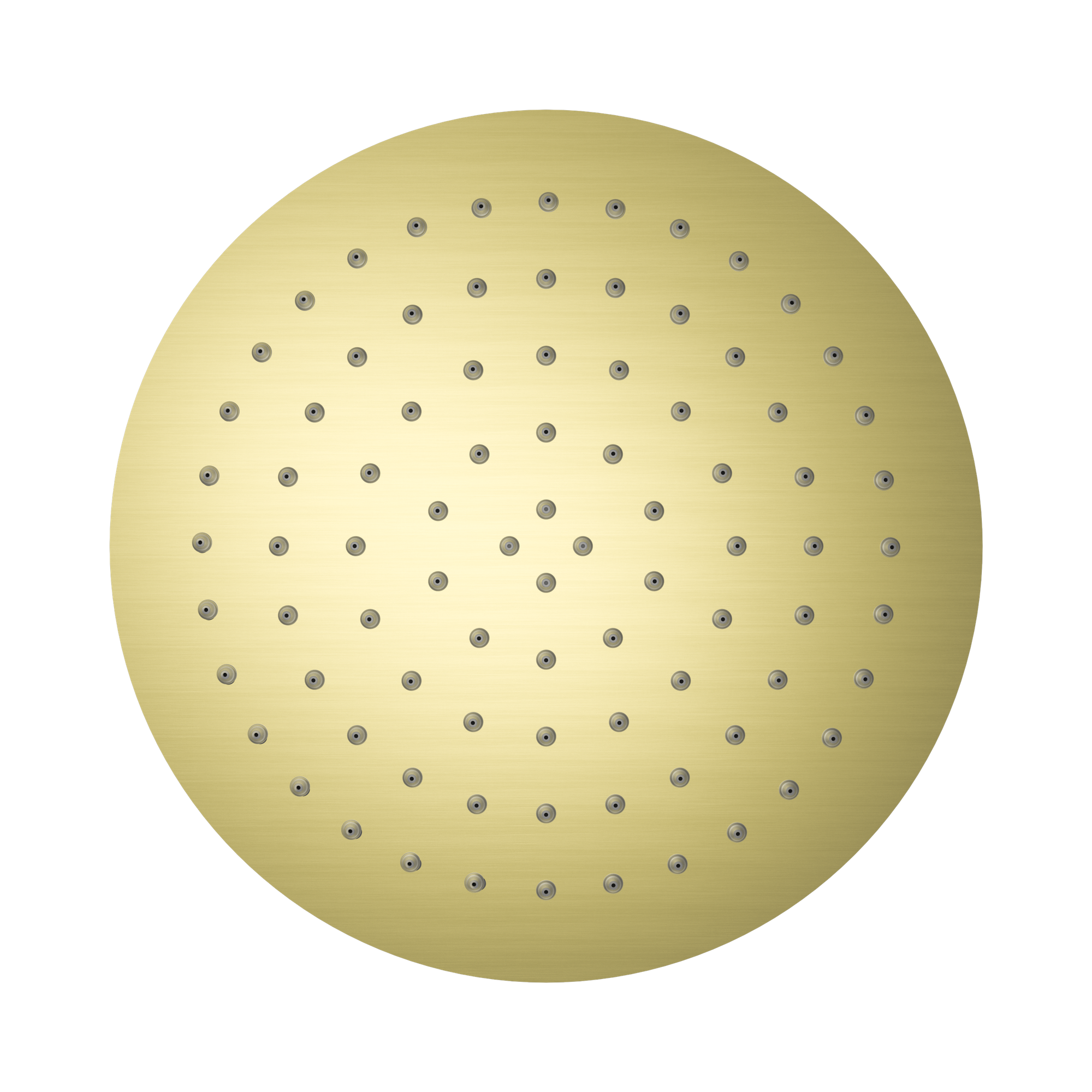 NR507036 BG 250mm Round Stainless Steel Shower Head 4 Star Rating Brushed Gold image 2