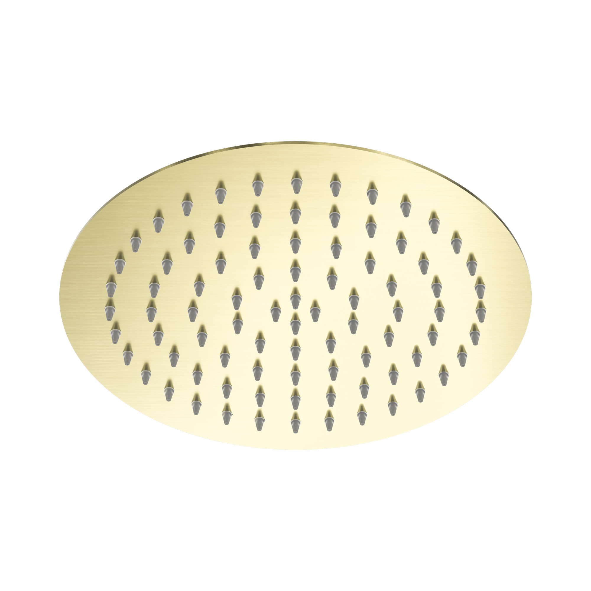 NR507036 BG 250mm Round Stainless Steel Shower Head 4 Star Rating Brushed Gold image 3