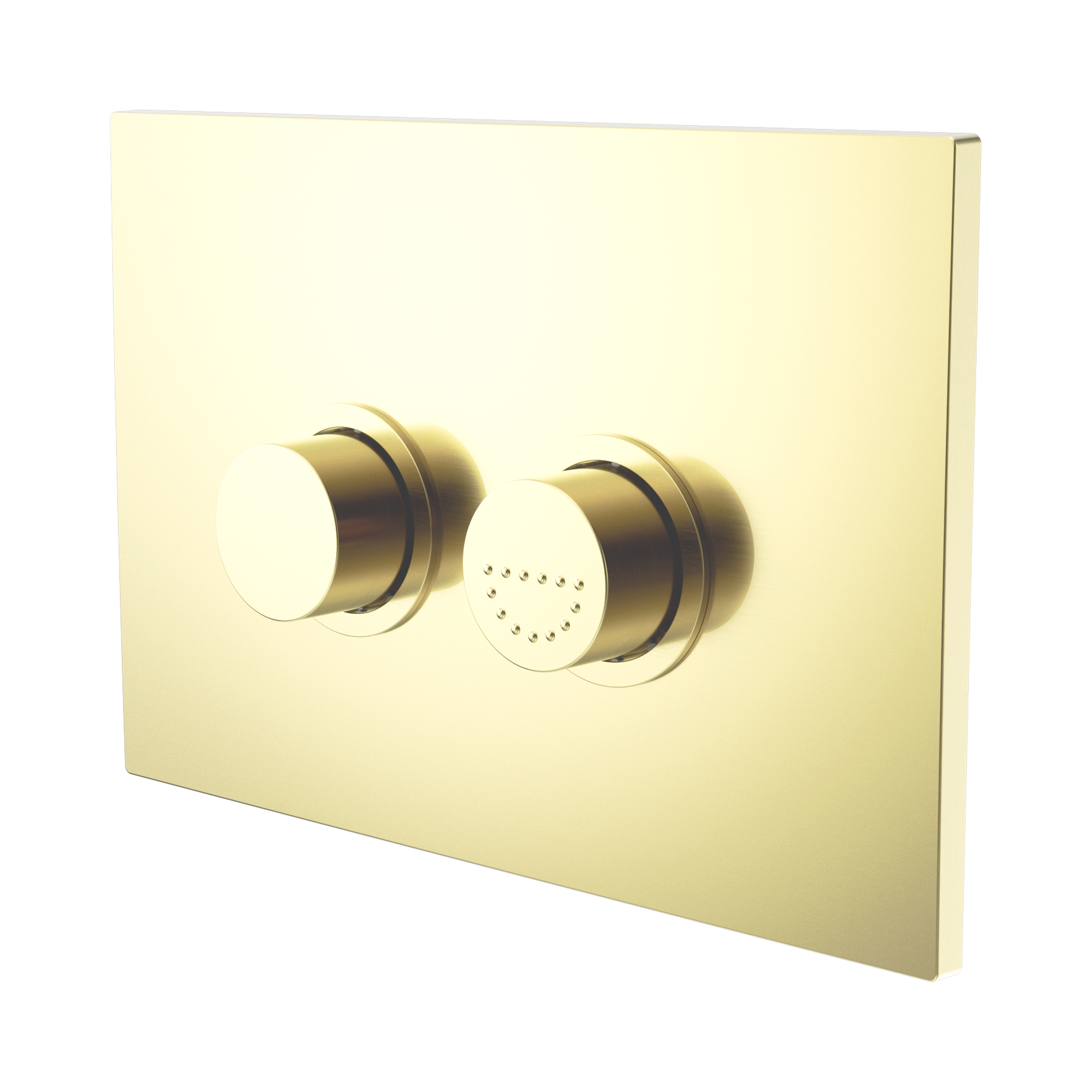 NRCRPL002 BG Mecca Care Raised Disabled Care Pneumatic Flush Buttons Plate DDA Compliant Brushed Gold image 1