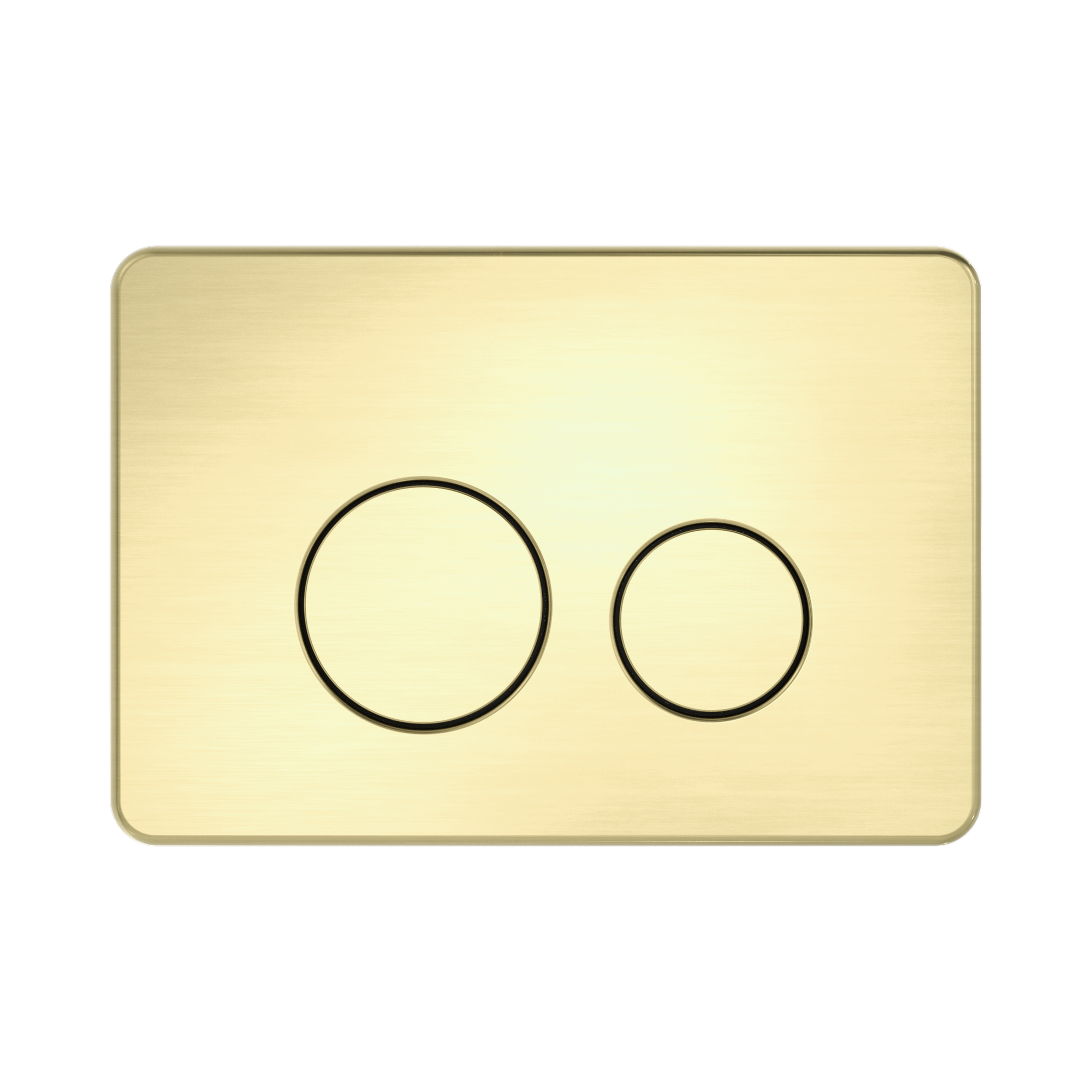 NRPL001 BG In Wall Toilet Push Plate Brushed Gold image 2