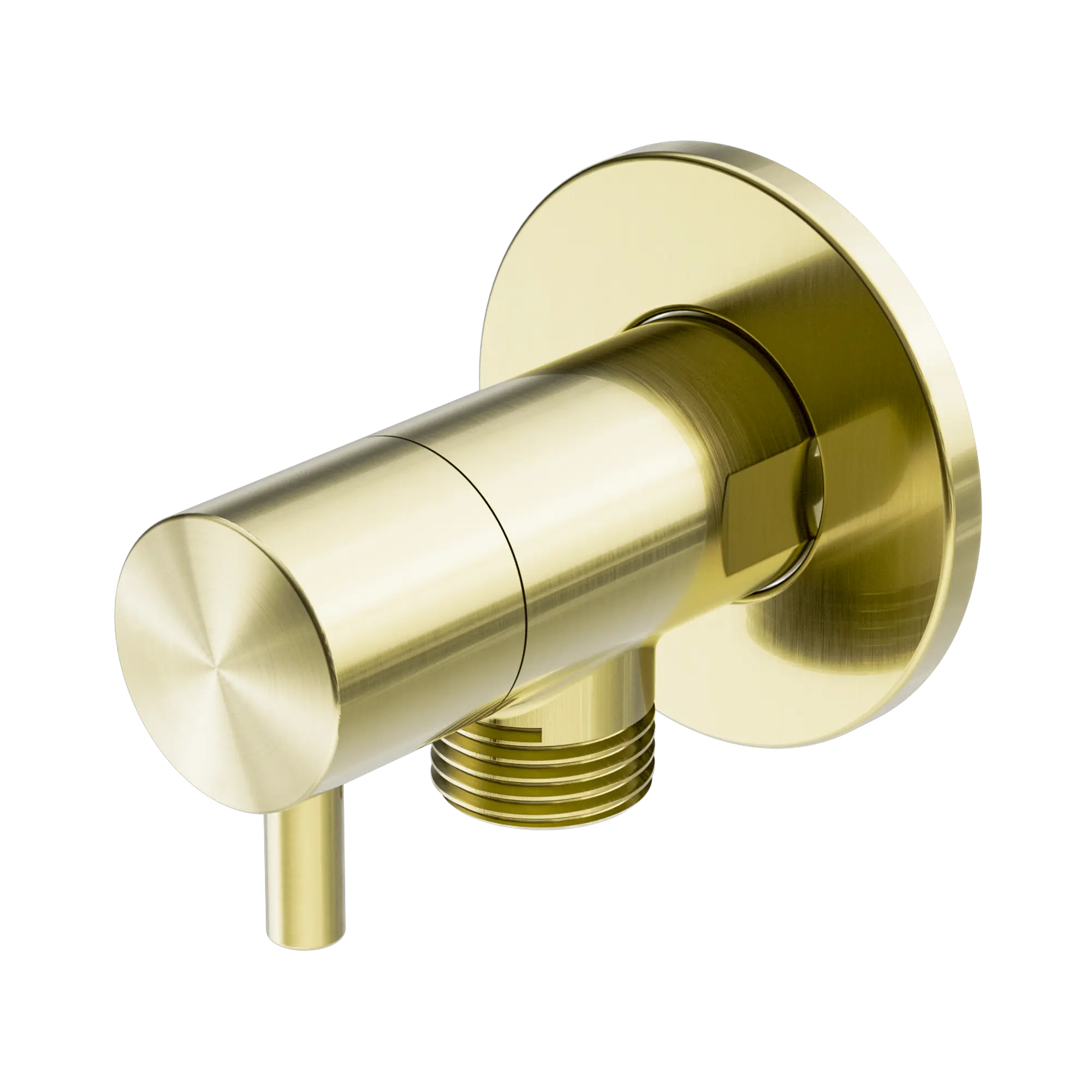 NR262109 EBG Mini Cistern Stop Brushed Gold image 1