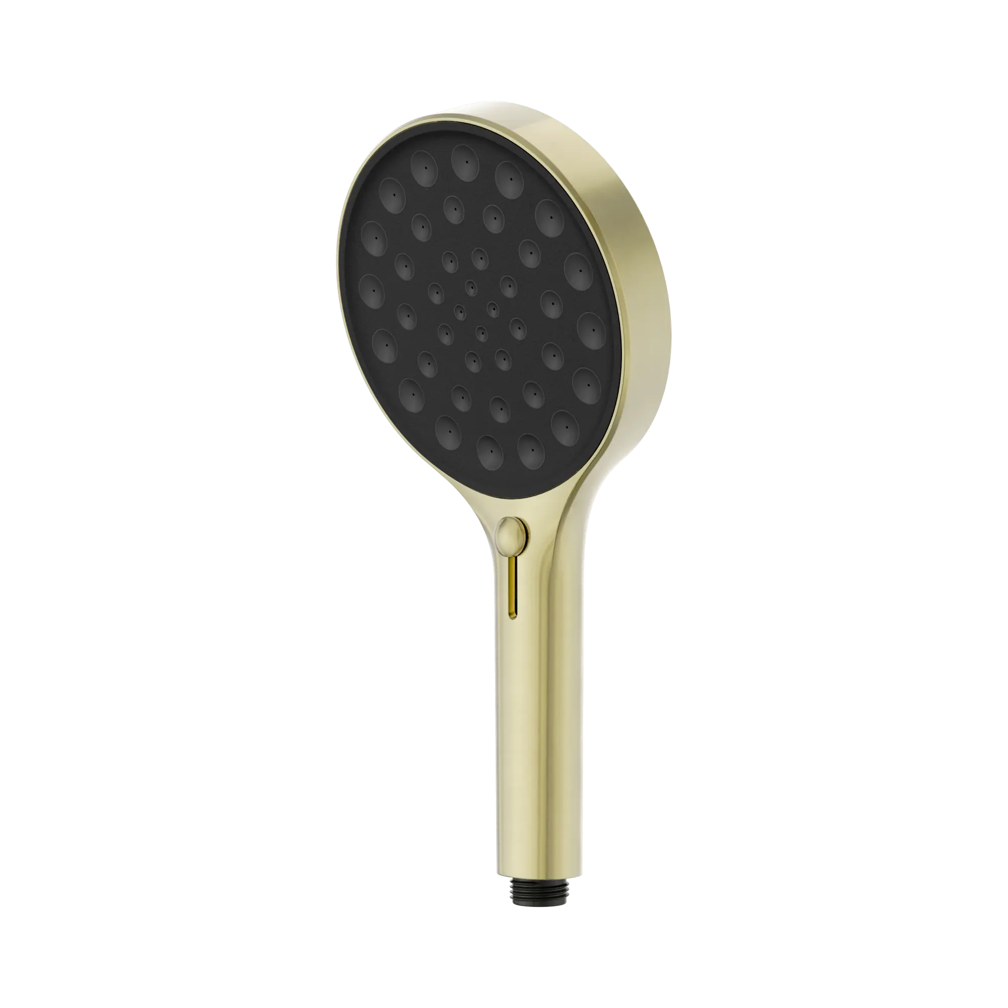 24 D003 BG Serenity Hand Shower Brushed Gold image 1