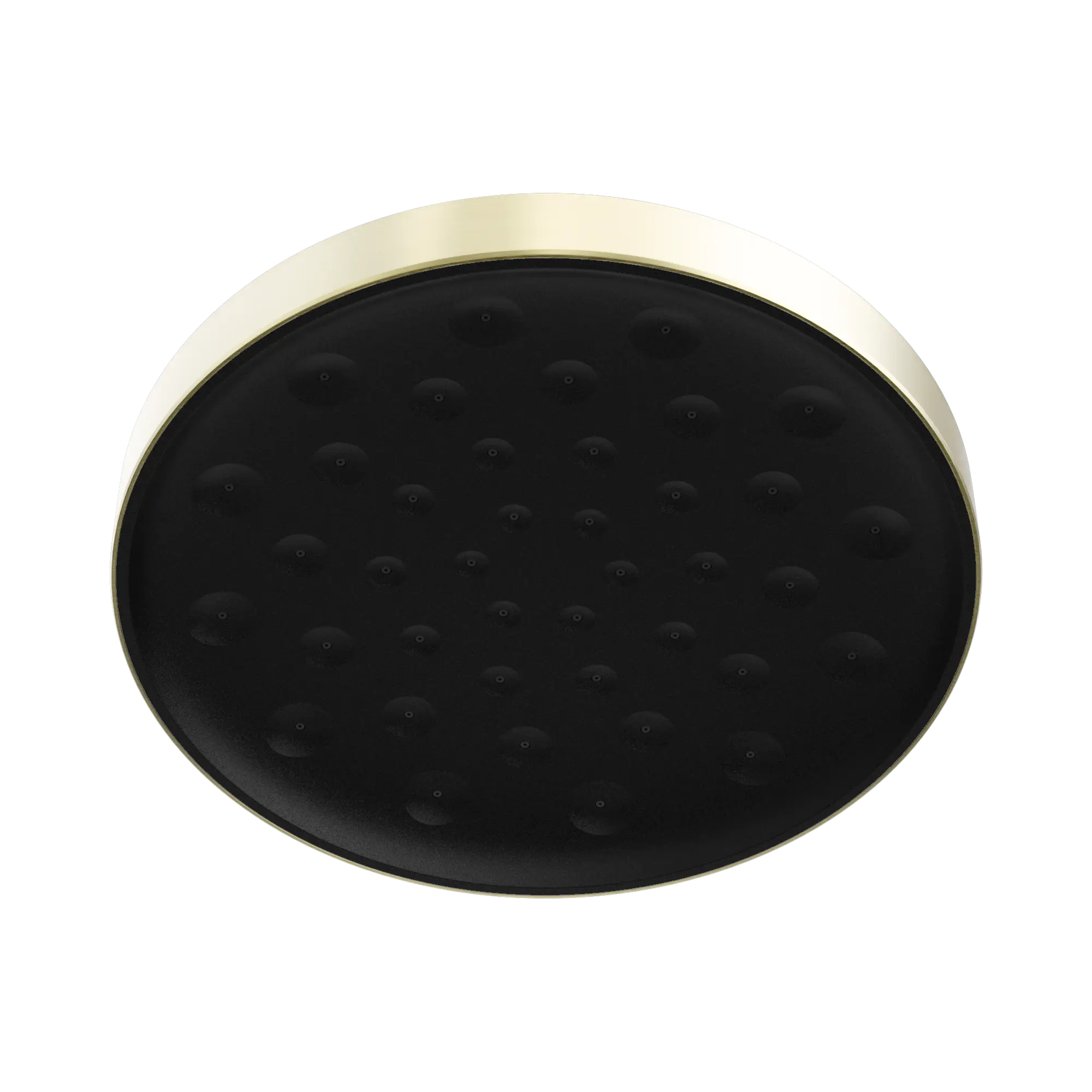 24 D004 BG Serenity Shower Head Brushed Gold image 1