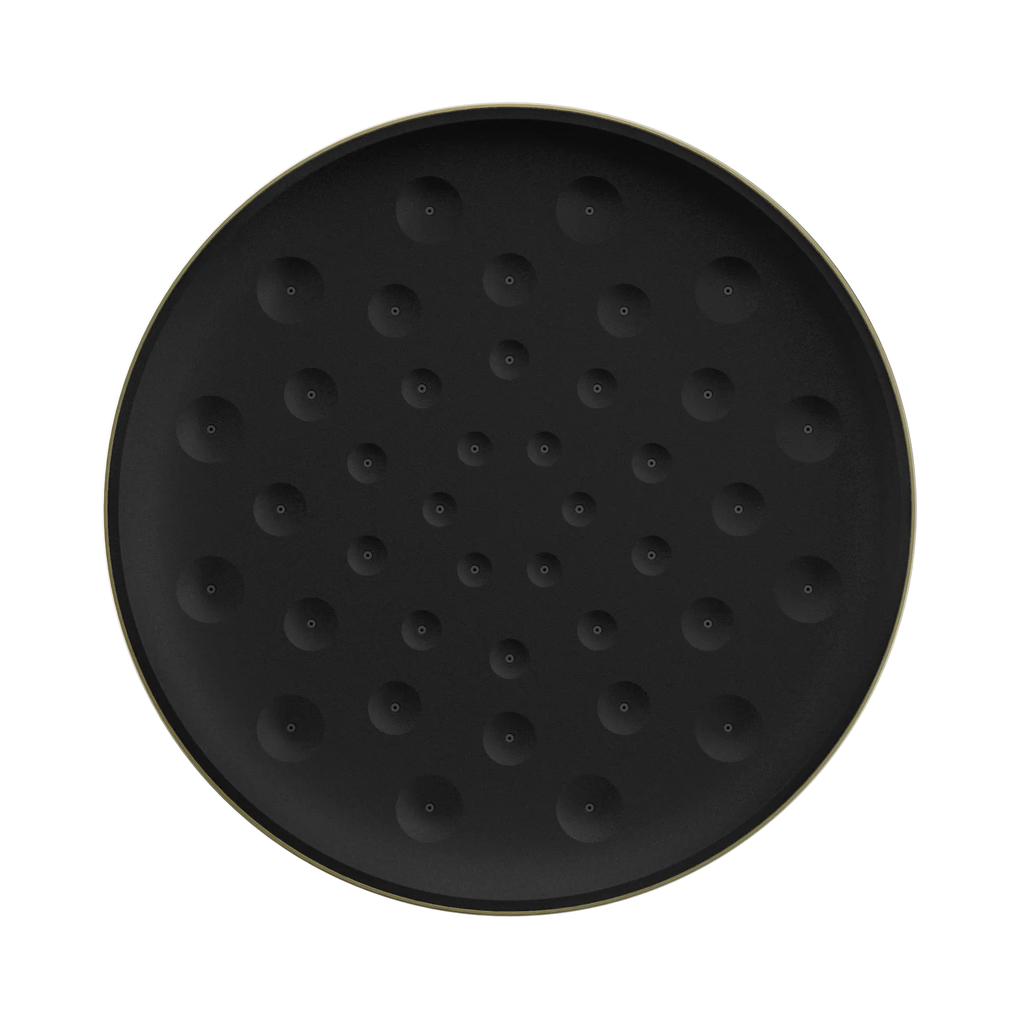 24 D004 BG Serenity Shower Head Brushed Gold image 2