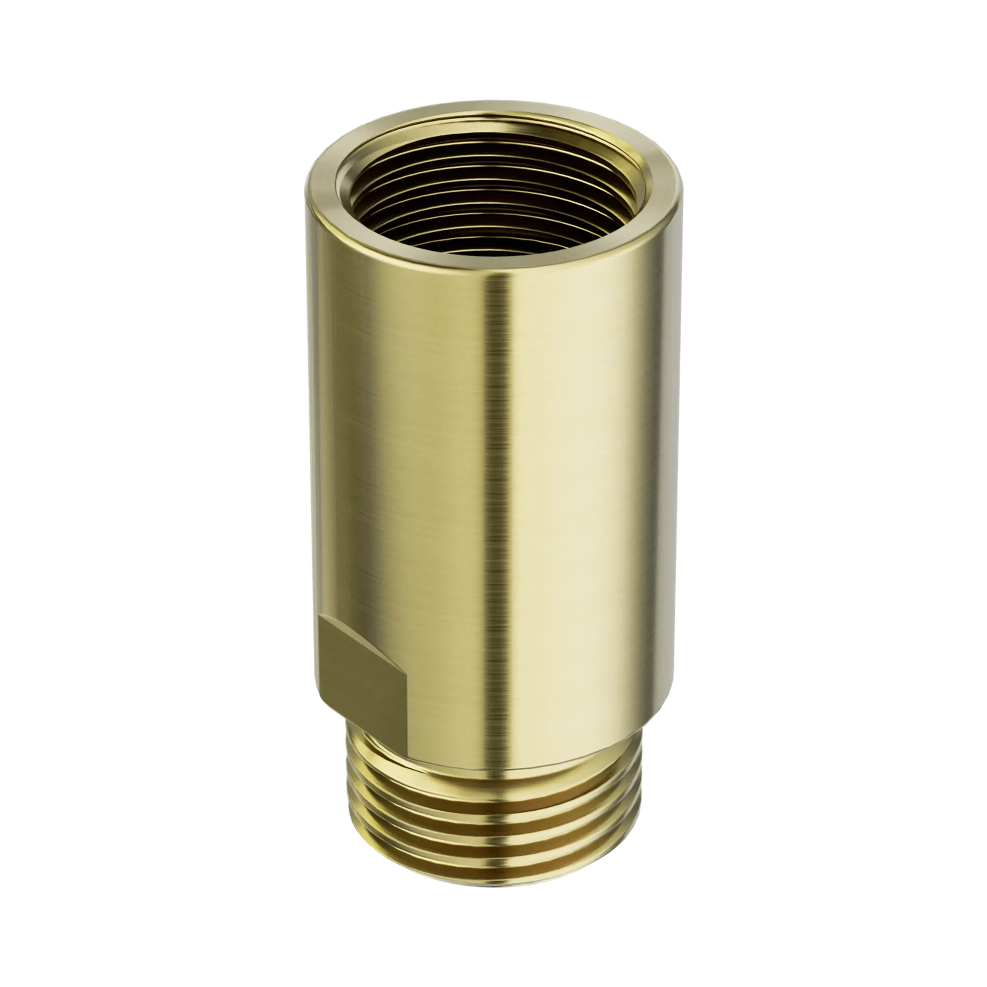 NR5390336 BG Dual Check Valve Male X Female G1 2 Brushed Gold image 1