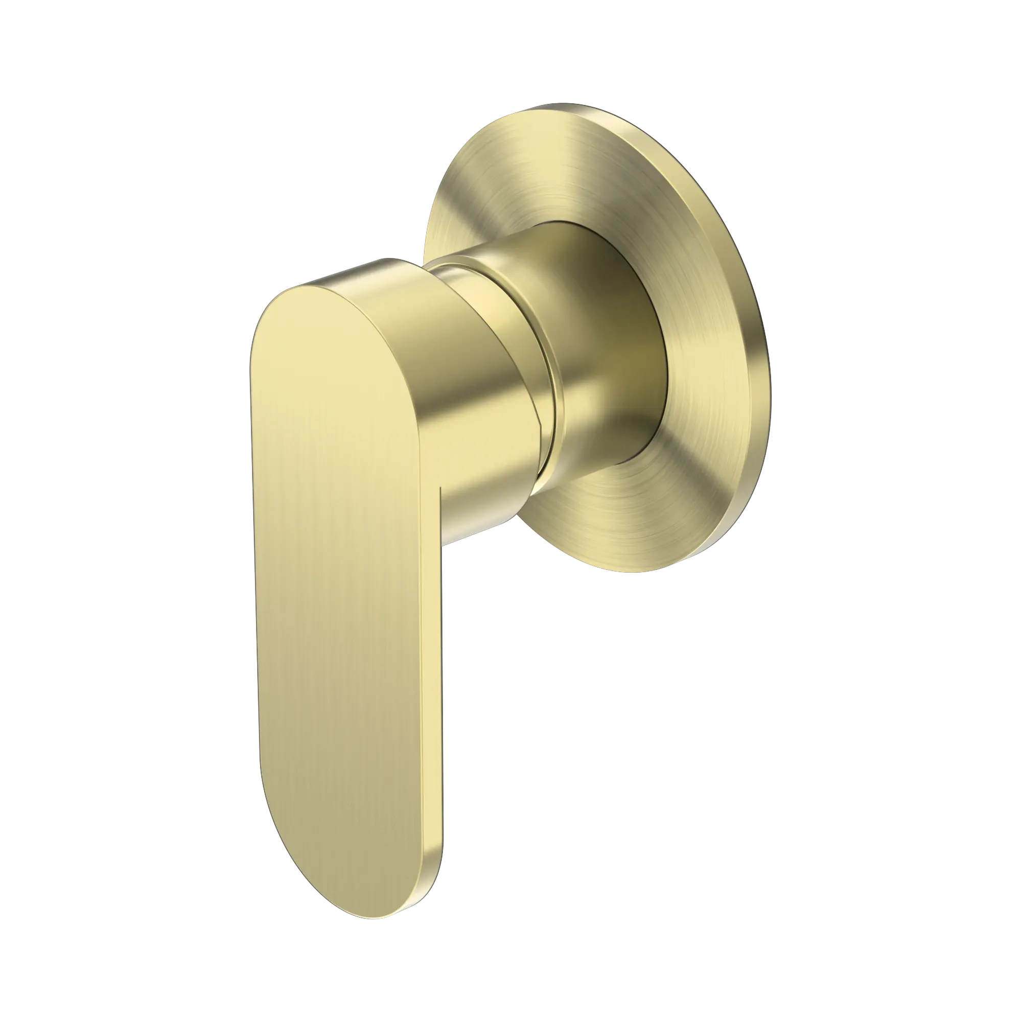 NR301311 DBG Ecco Shower Mixer 80mm Round Plate Brushed Gold image 1