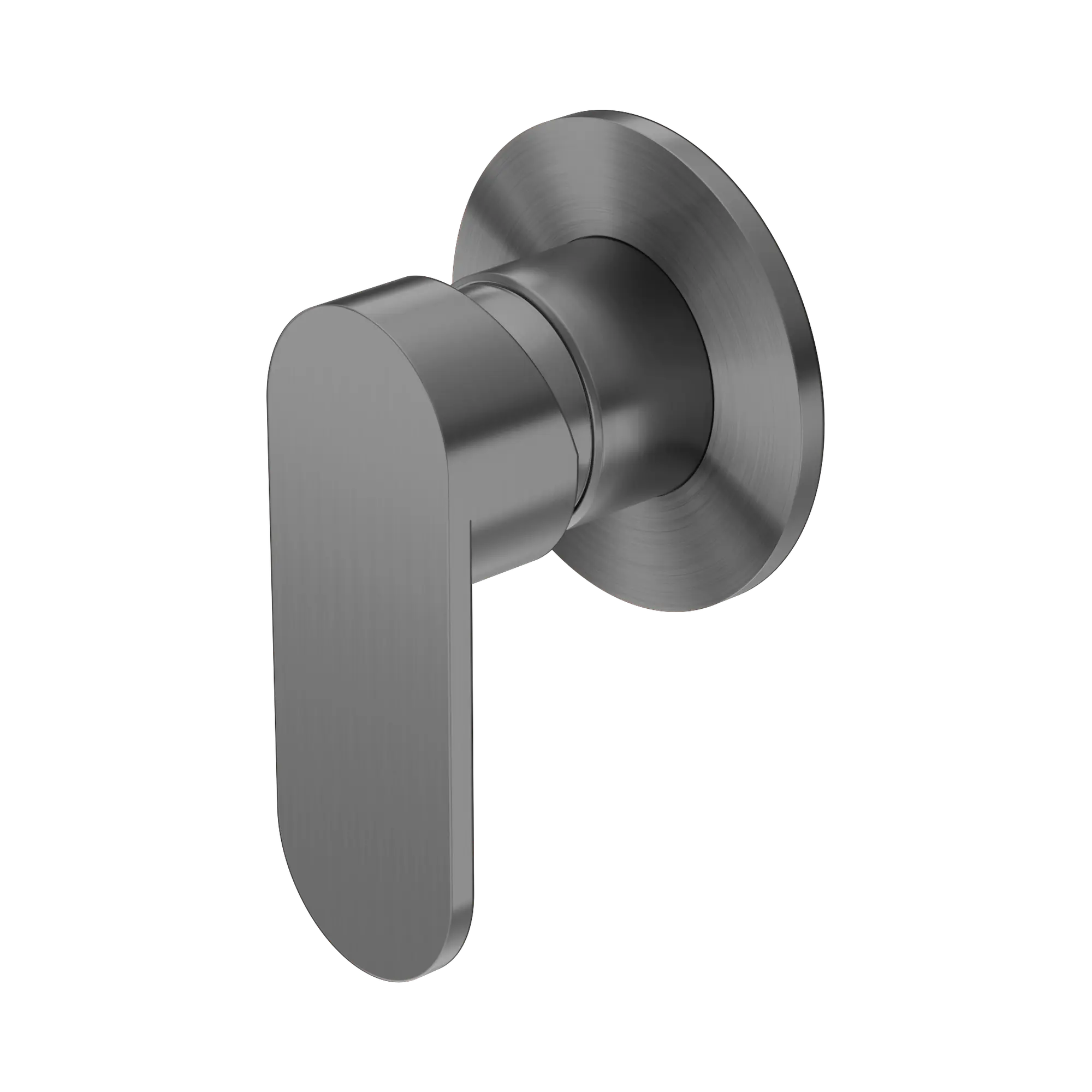 NR301311 DGM Ecco Shower Mixer 80mm Round Plate Gum Metal image 1