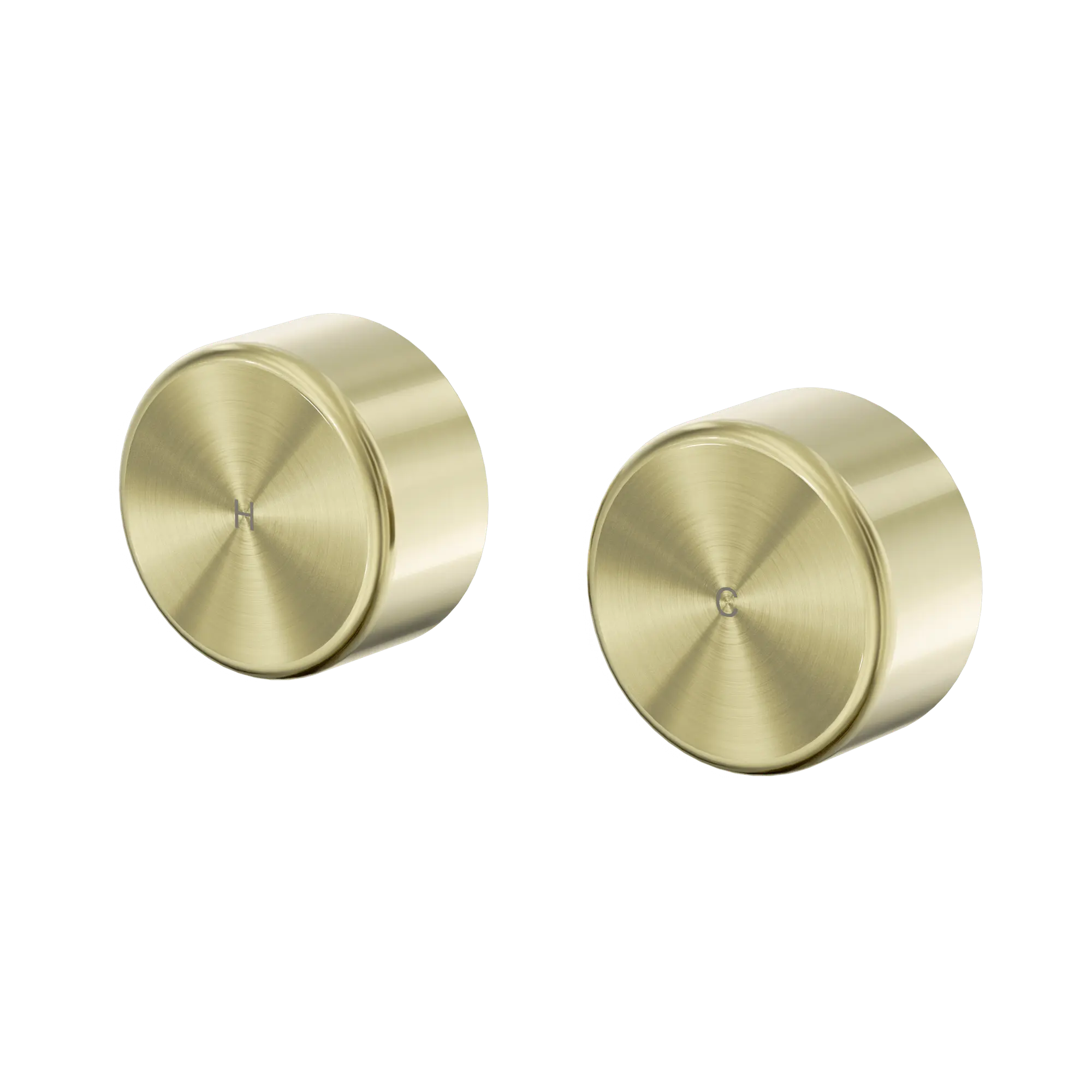 24 D010 BG Serenity Wall Top Assembly With Metal Handle Brushed Gold image 1