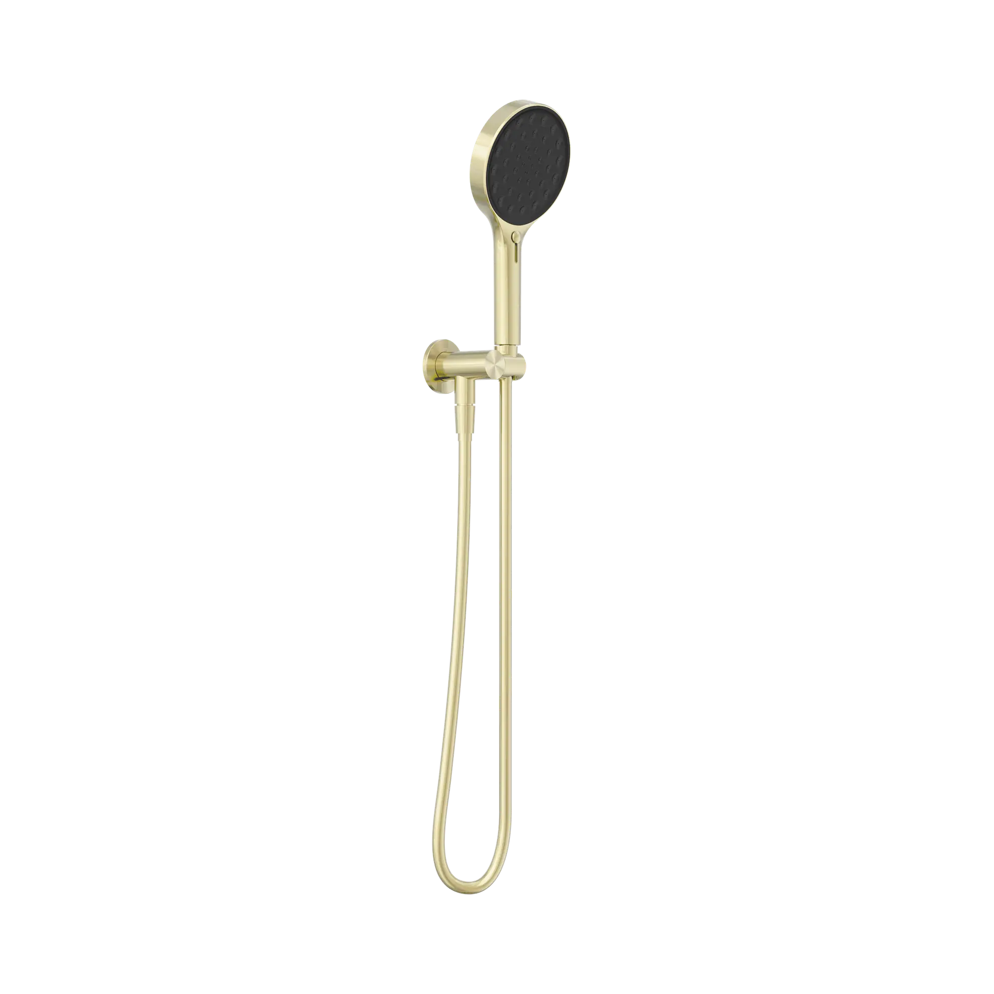 24 D071 BG Serenity Hand Held Shower Brushed Gold image 1