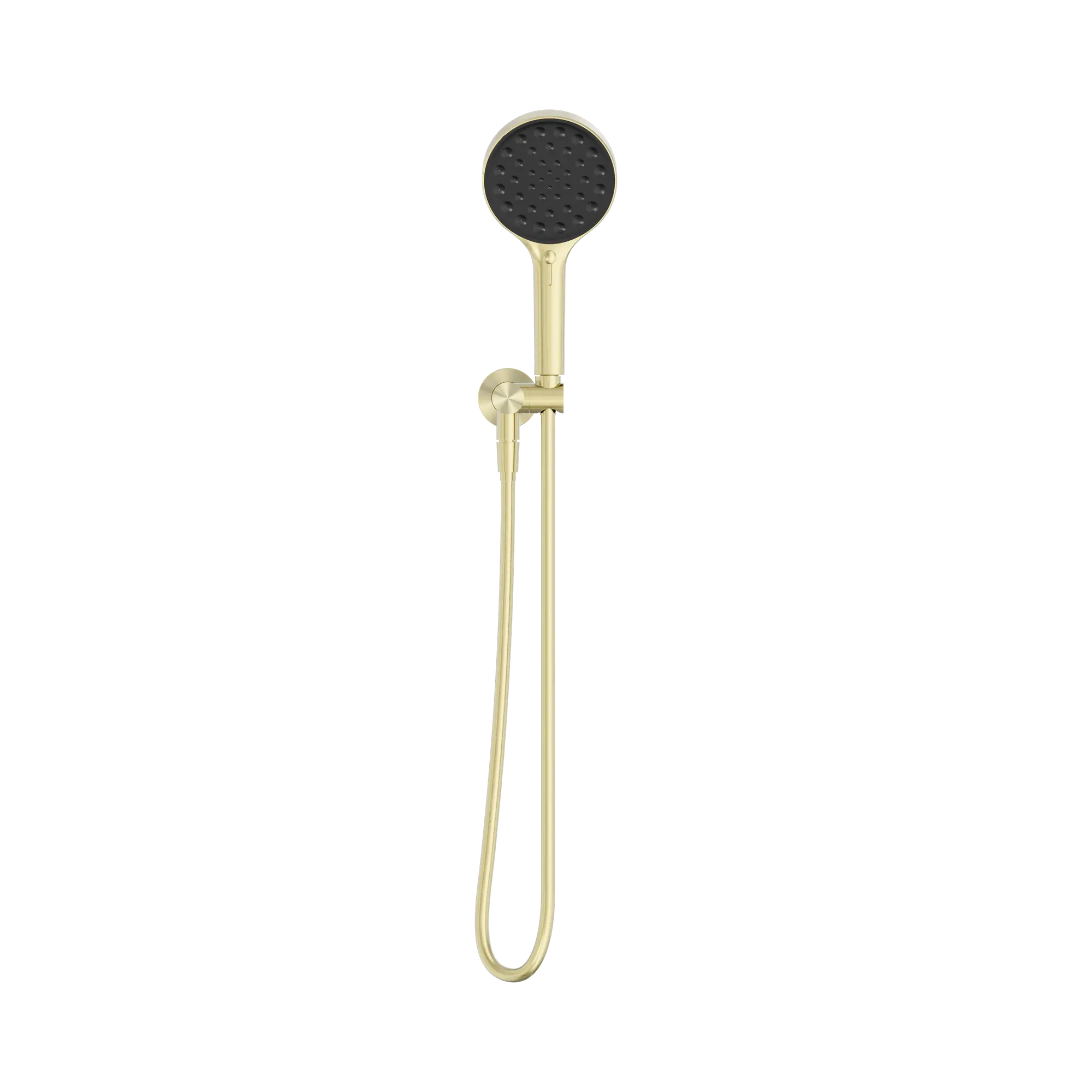 24 D071 BG Serenity Hand Held Shower Brushed Gold image 2