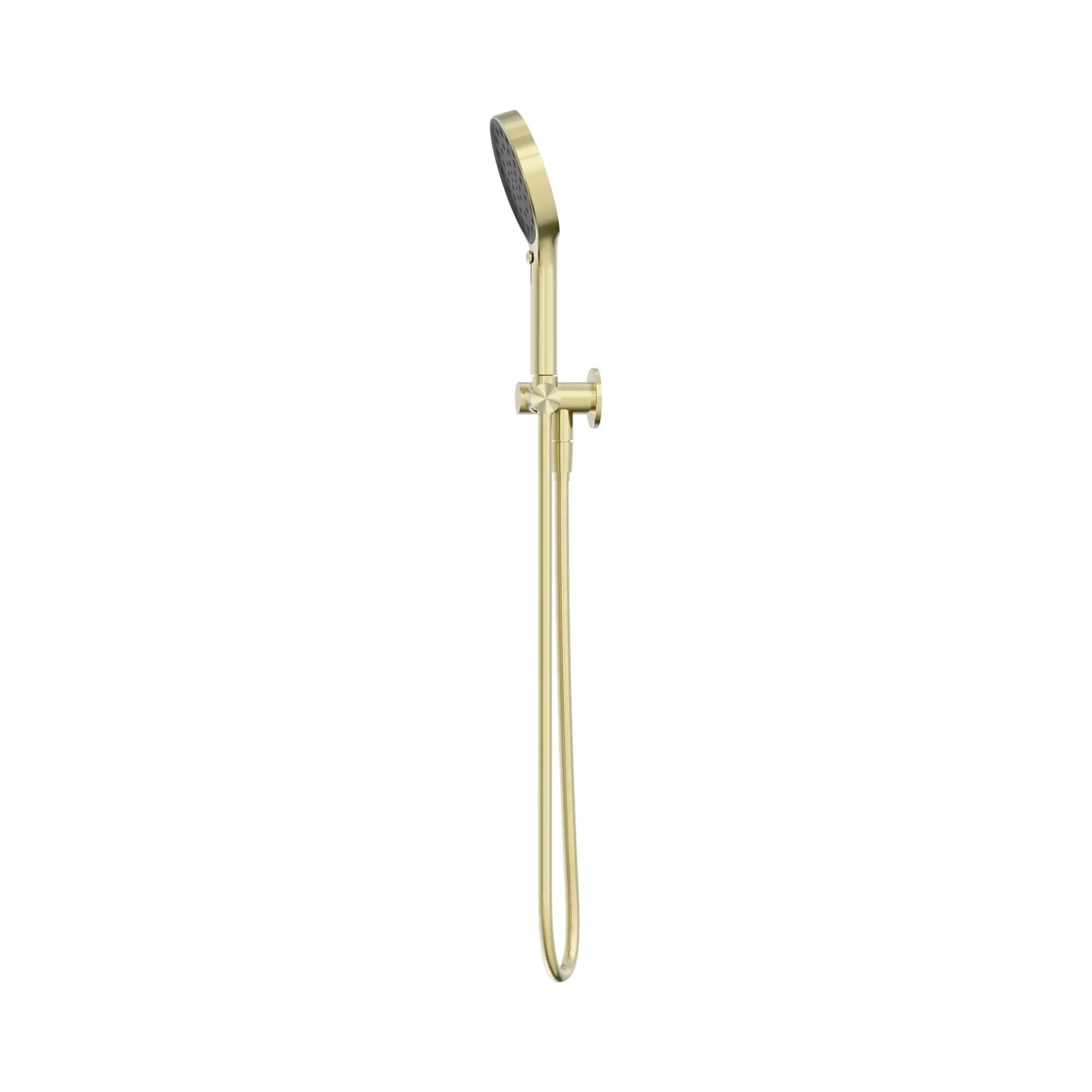 24 D071 BG Serenity Hand Held Shower Brushed Gold image 3