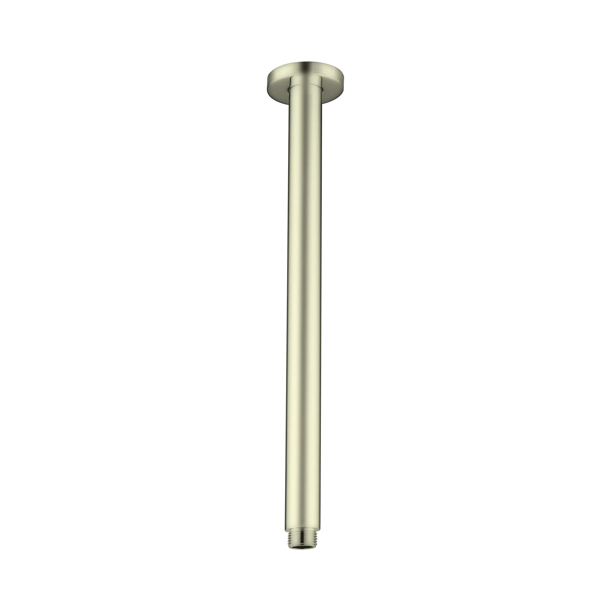 NR503300 BG Round Ceiling Arm 300mm Length Brushed Gold image 1