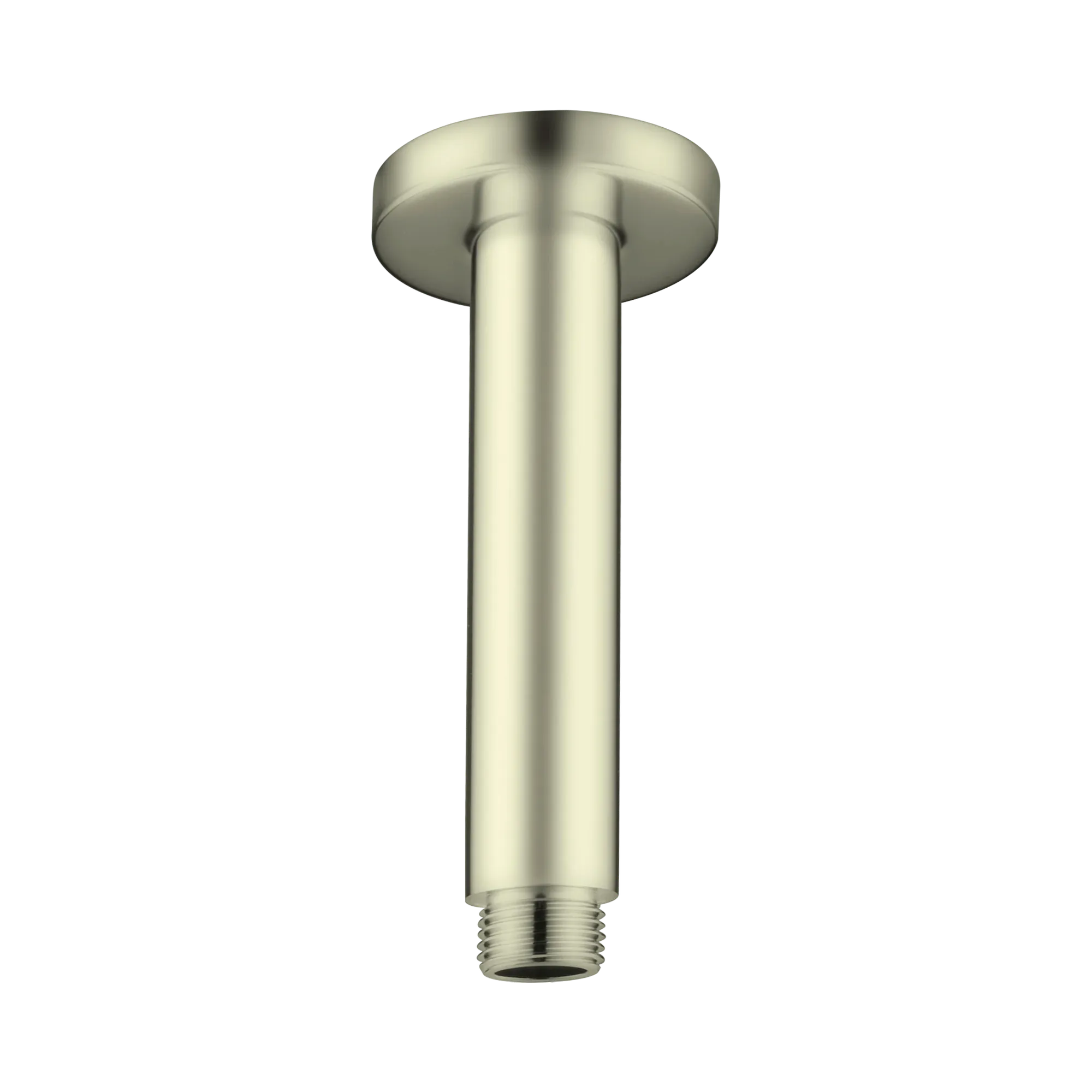 NR503100 BG Round Ceiling Arm 100mm Length Brushed Gold image 1