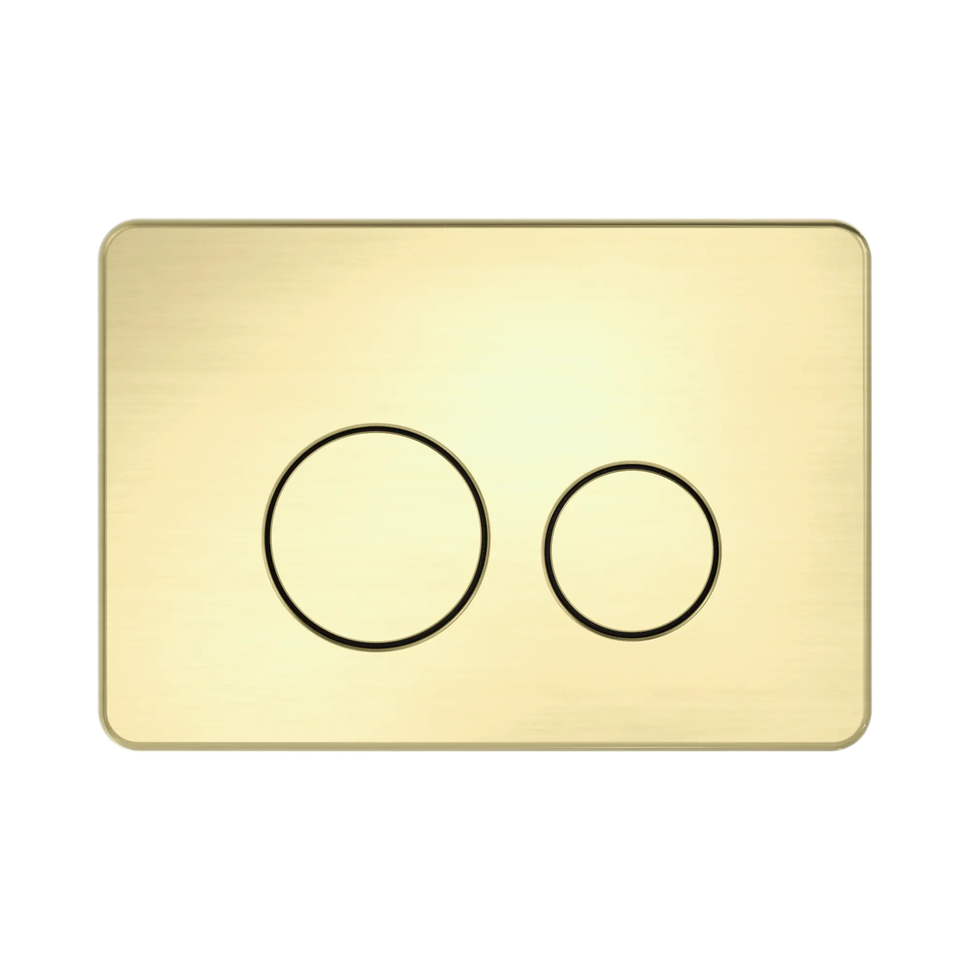 NRPL001 BG In Wall Toilet Push Plate Brushed Gold image 2