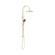Mecca Twin Shower With Air Shower II Brushed Gold