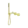 Kara Progressive Shower System Separate Plate Trim Kits Only Brushed Gold