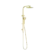 Bianca Twin Shower Brushed Gold
