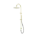 Zen SS316L Twin Shower With Outdoor Shower Hose Brushed Gold