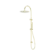 Zen SS316L Twin Shower Brushed Gold