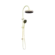 Serenity Twin Shower Brushed Gold