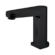 Bianca Sensor Tap Matte Black