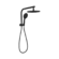 Mecca 2 In 1 Twin Shower Matte Black