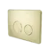 In Wall Toilet Push Plate Brushed Gold